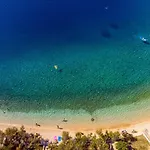 Seaview Roko * Sumpetar