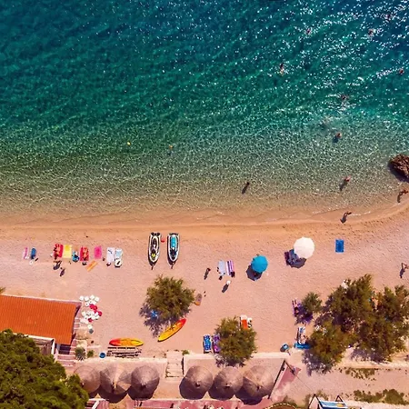 Seaview Roko * Sumpetar