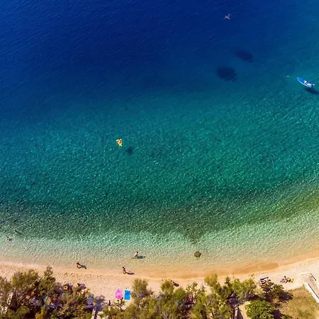 Seaview Roko * Sumpetar